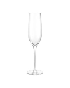 Judge Glassware, 4 Piece Champagne Glass Set, 260ml